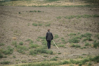 Farming ?