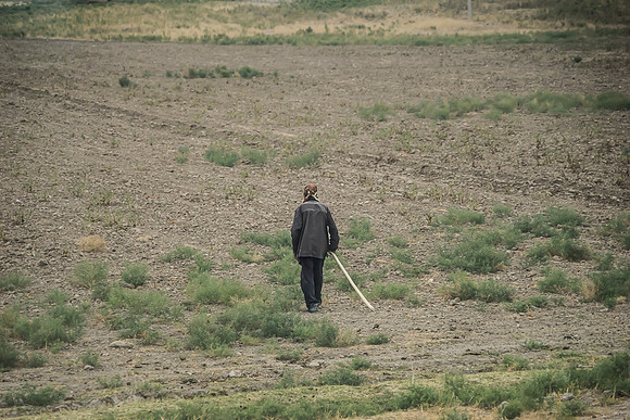 Farming ?