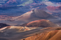 Artz Photo 5 -_DSC5605