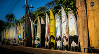Artz Photo 5 -_DSC9040