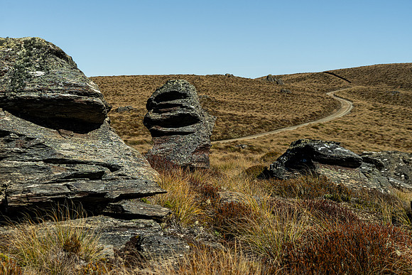 250424.5 DSC03115